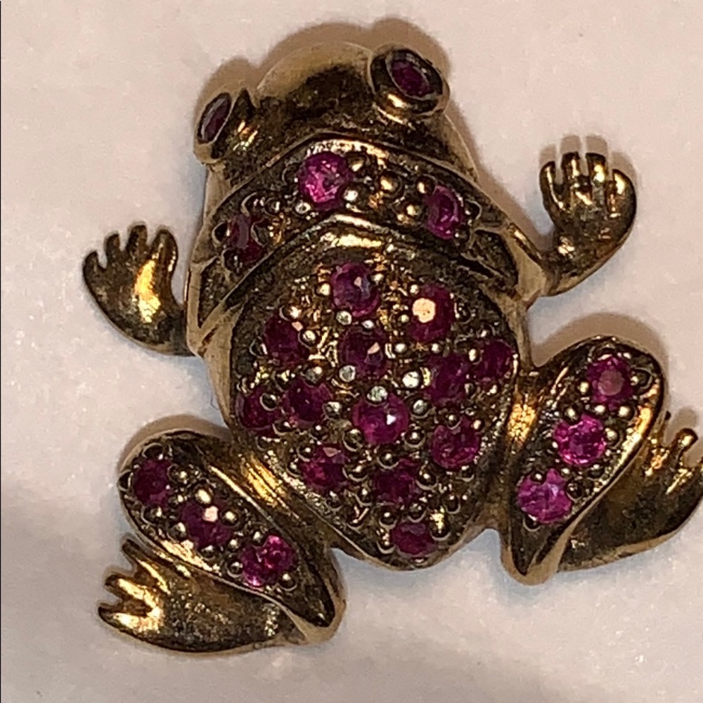 Ruby silver frog brooch beautiful unique rare find